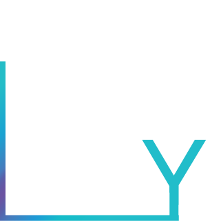VY Fitness  Club